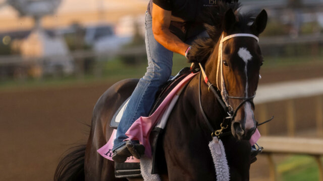 Resist trains for the Kentucky Oaks at Churchill Downs (Photo by Horsephotos.com/Rickell Nelson)