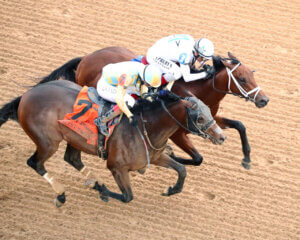 Class President (outside) fights back to nip Silent Tactic in the Rebel (G2) (Photo by Coady Media)