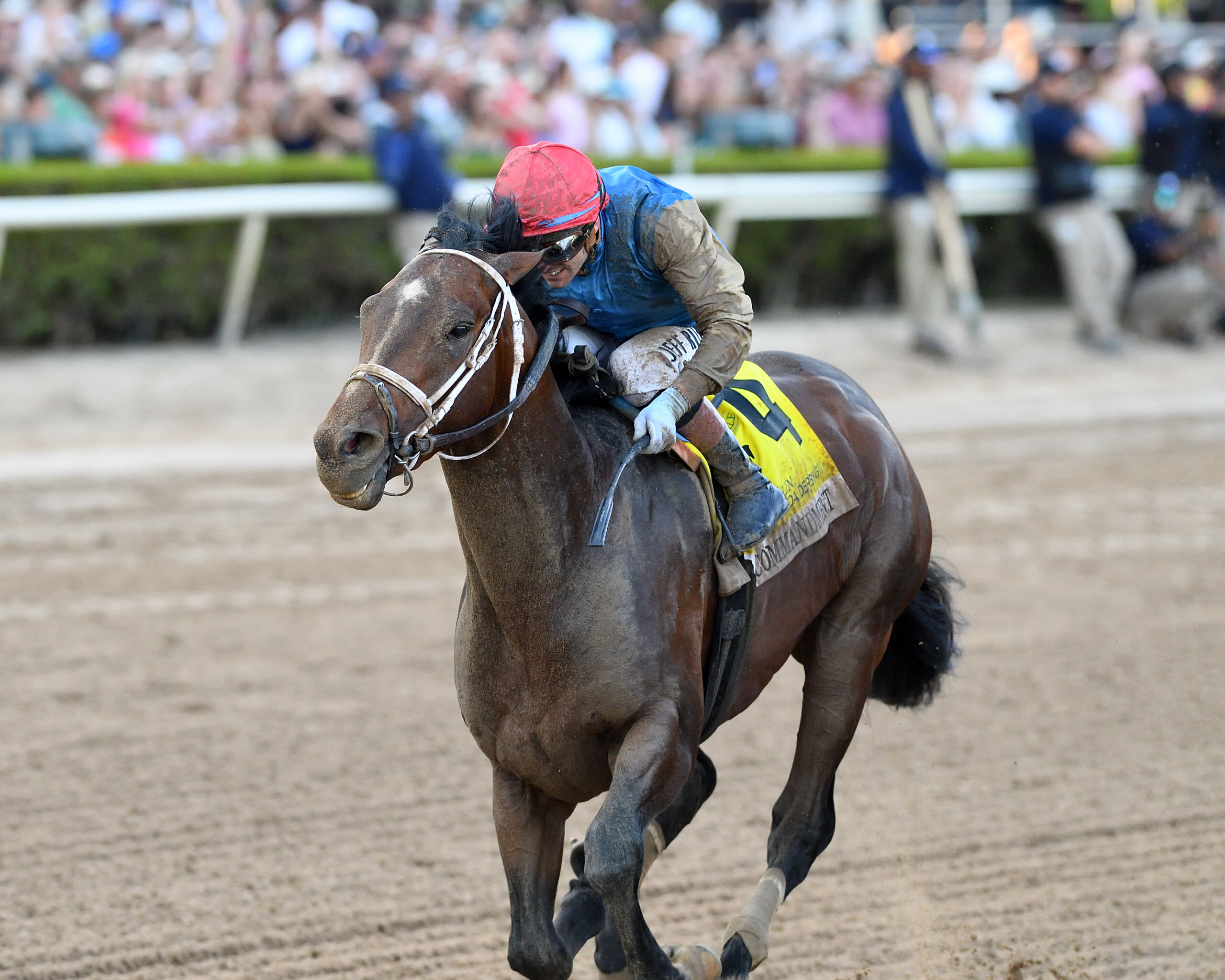 Commandment wins the Florida Derby at Gulfstream Park.
