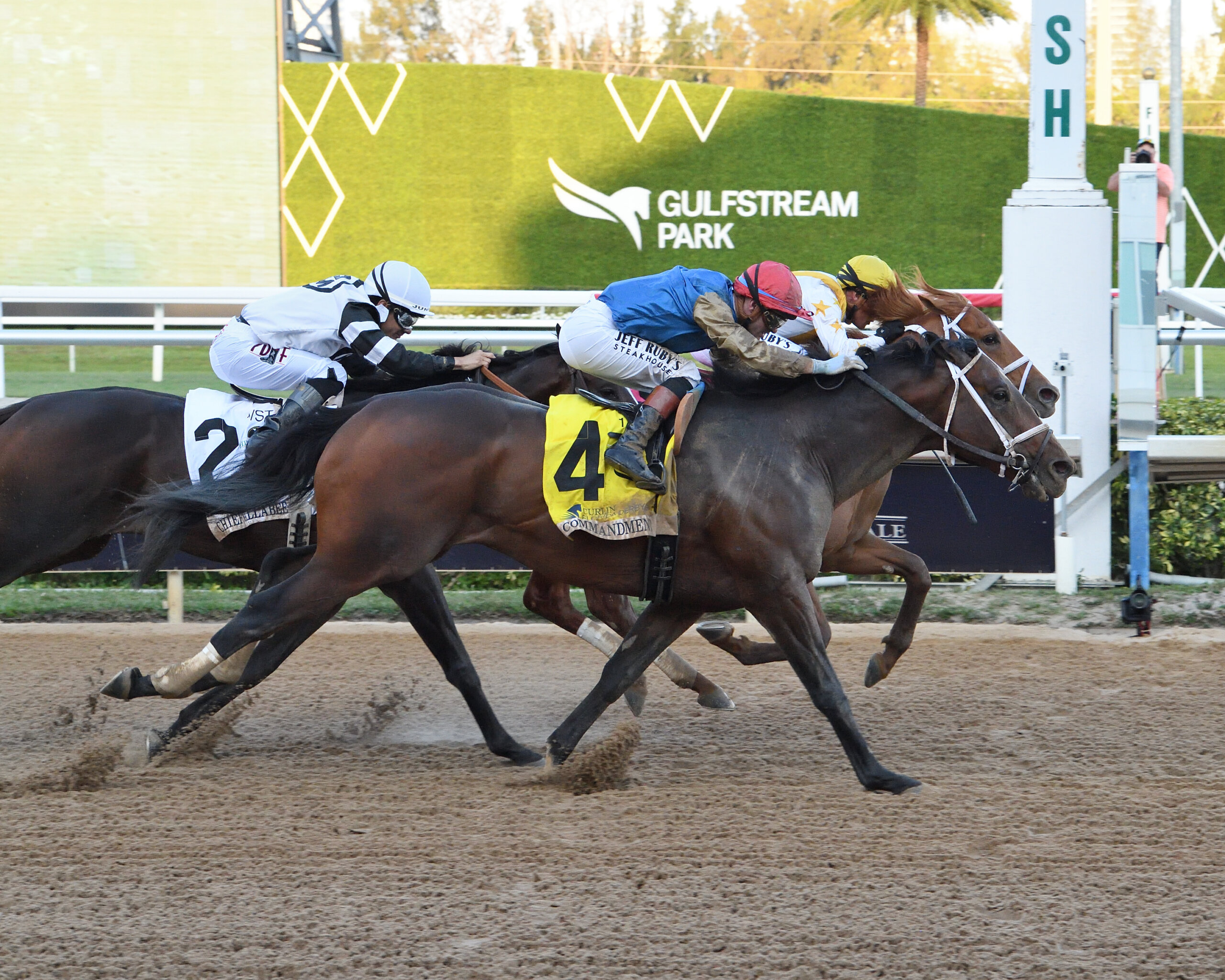 Commandment wins the Florida Derby at Gulfstream Park.