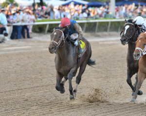 Commandment wins the Florida Derby at Gulfstream Park.