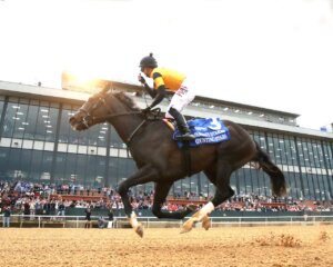 Counting Stars wins the Fantasy at Oaklawn Park.