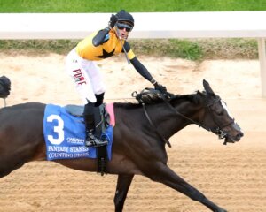 Counting Stars wins the Fantasy at Oaklawn Park.