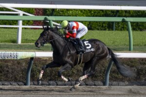 Kentucky-bred Danon Bourbon was much the best in the Fukuryu at Nakayama