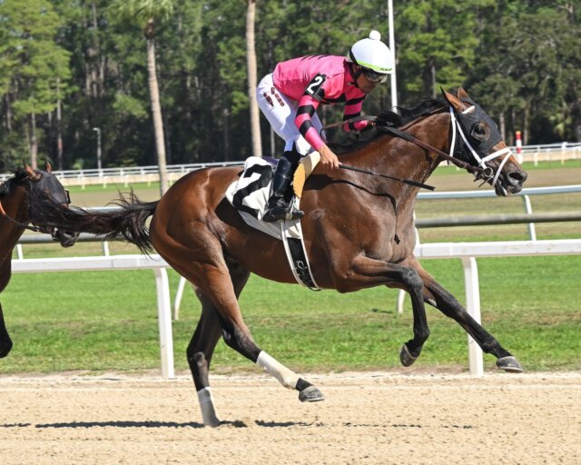 Epic Desire wins at Tampa Bay Downs.