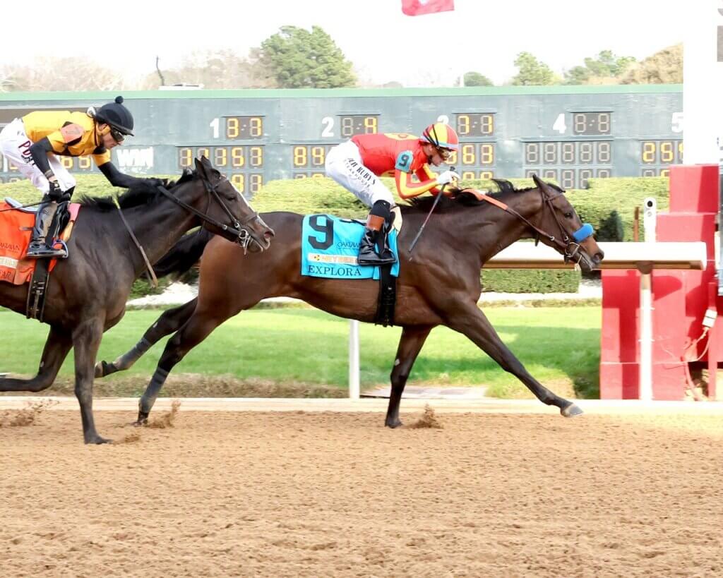 Explora holds off Counting Stars in the Honeybee (G3)