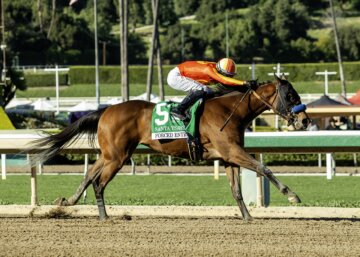 Forced Entry wins the Santa Ysabel