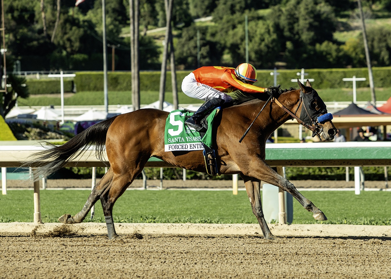 Forced Entry wins the Santa Ysabel
