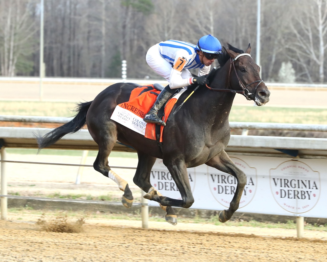 Incredibolt wins the Virginia Derby at Colonial Downs.