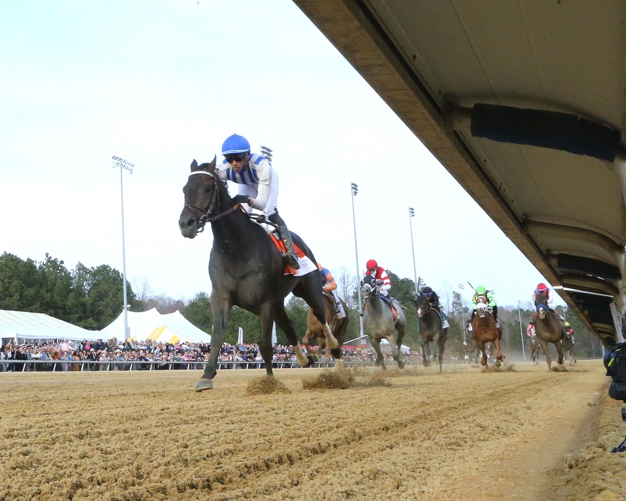 Incredibolt wins the Virginia Derby at Colonial Downs.