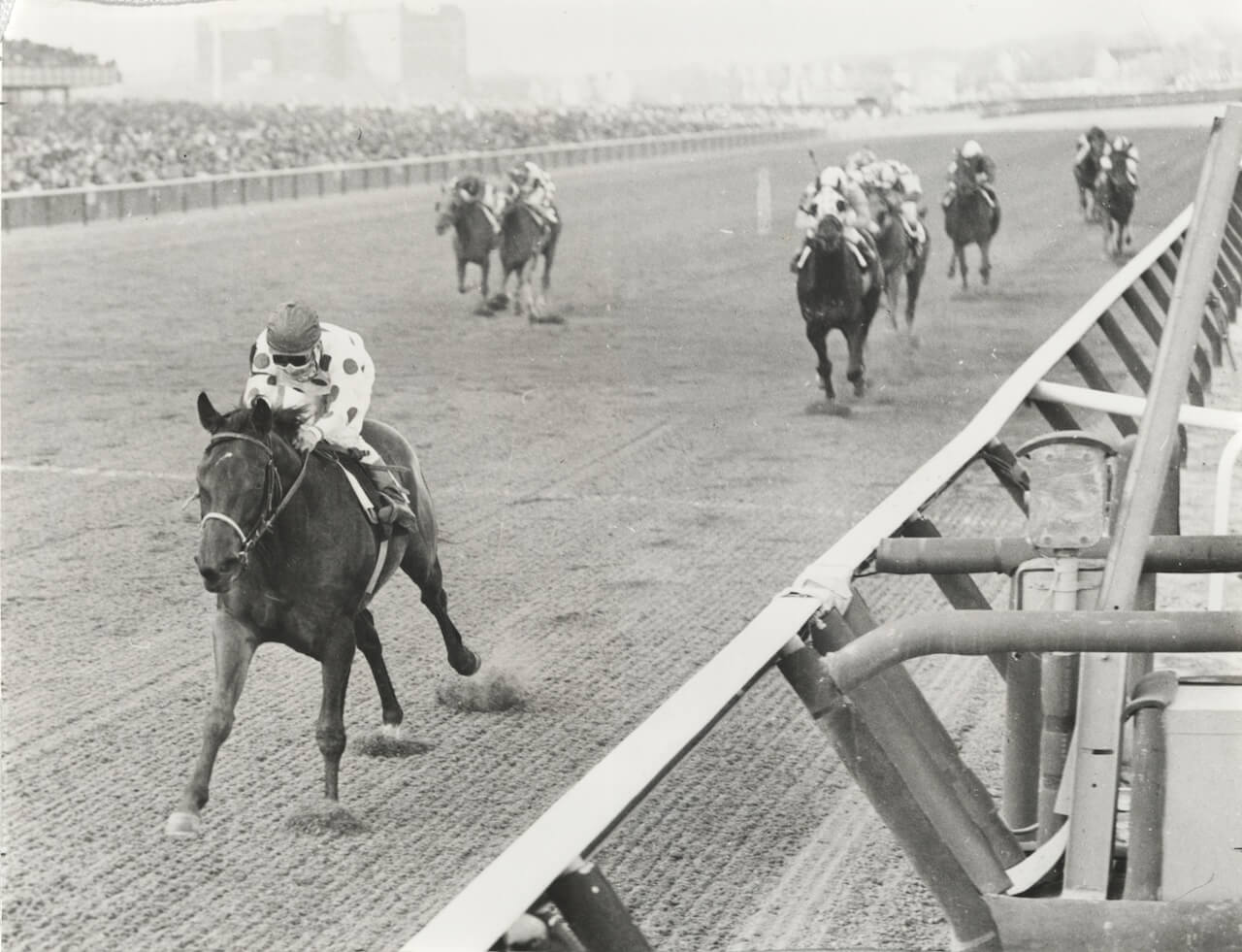 Damascus winning the Wood Memorial at Aqueduct.