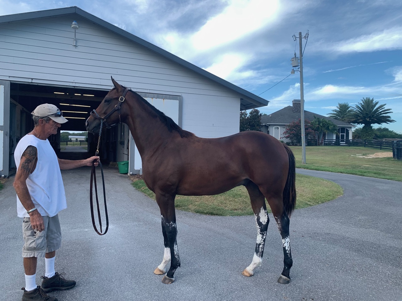 Nearly strikes a pose for his conformation shot