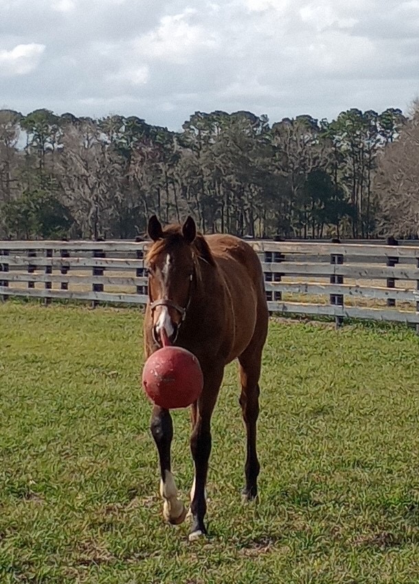 Nearly loved to play ball