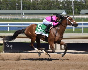 Prom Queen wins the Gulfstream Park Oaks at Gulfstream Park.