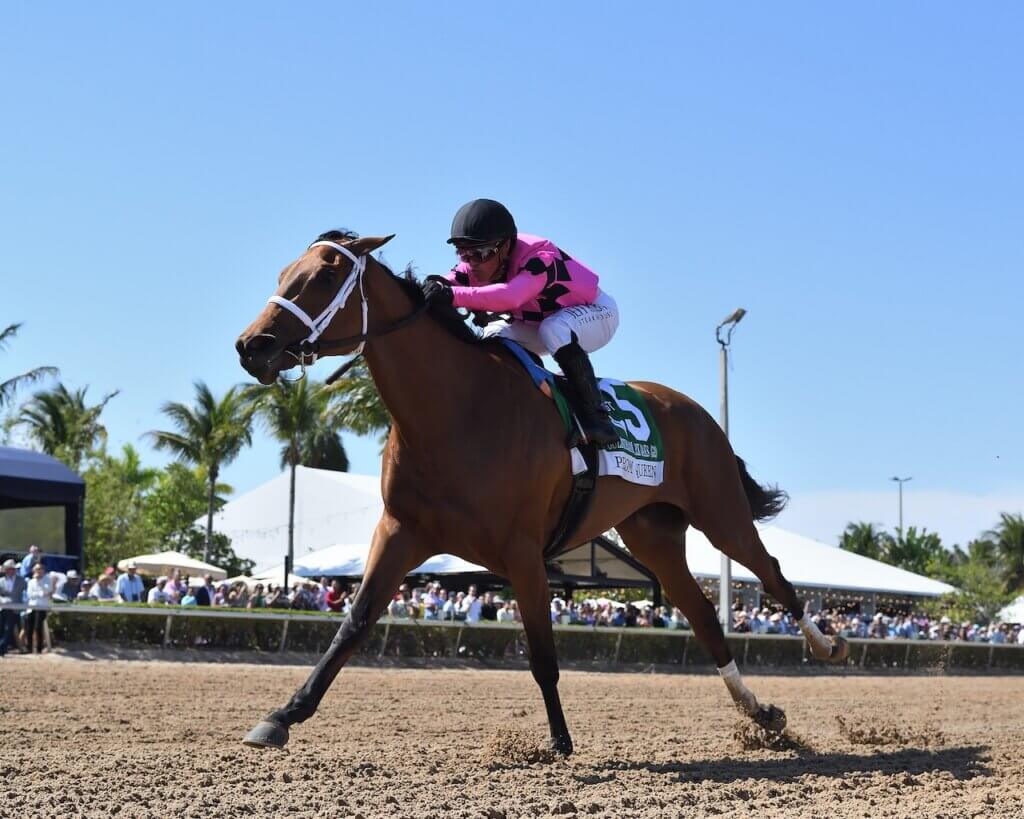 Prom Queen wins the Gulfstream Park Oaks at Gulfstream Park.