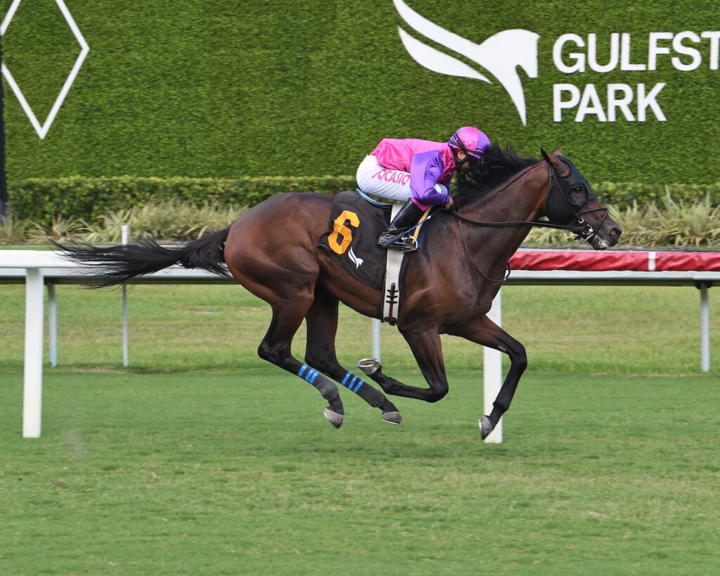 Redland Rebels wins at Gulfstream Park.