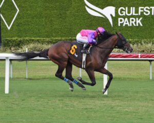 Redland Rebels wins at Gulfstream Park.