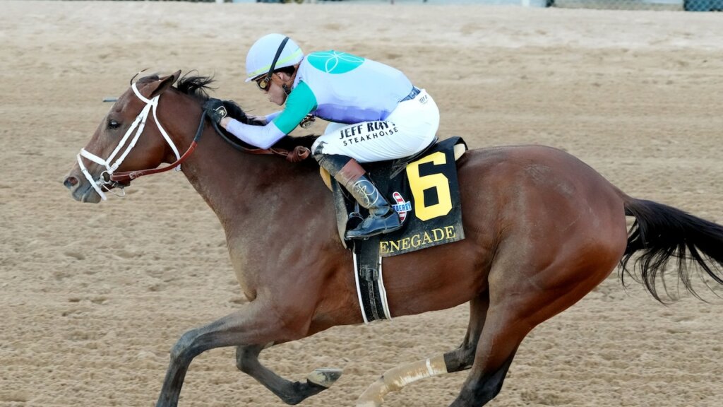 Renegade wins the Arkansas Derby at Oaklawn Park.