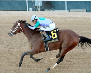 Renegade wins the Arkansas Derby at Oaklawn Park.