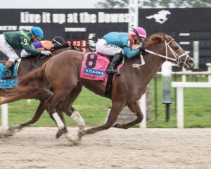 The Puma wins the Tampa Bay Derby at Tampa Bay Downs.
