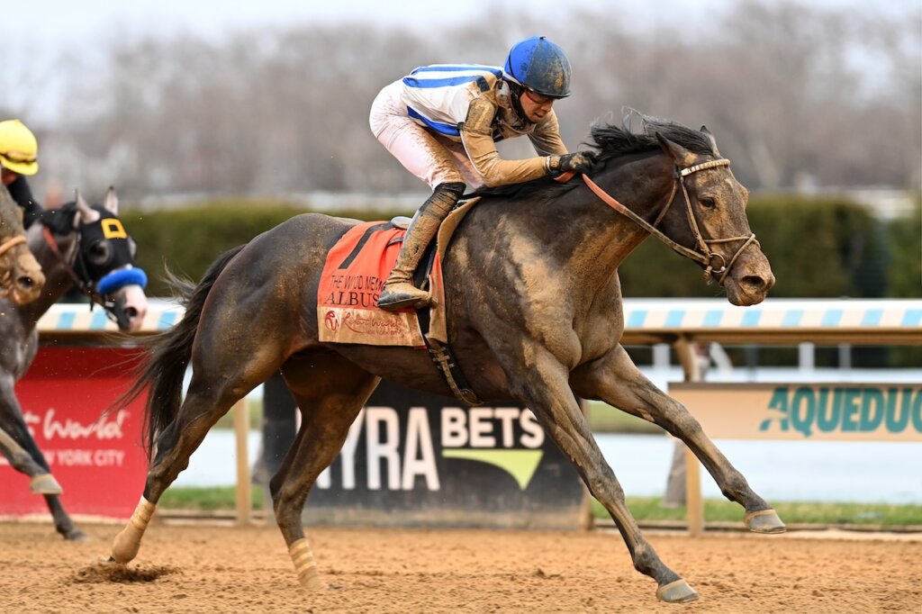 Albus wins the Wood Memorial at Aqueduct.