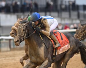 Albus wins the Wood Memorial at Aqueduct.