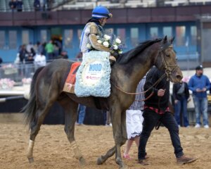 Albus wins the Wood Memorial at Aqueduct.