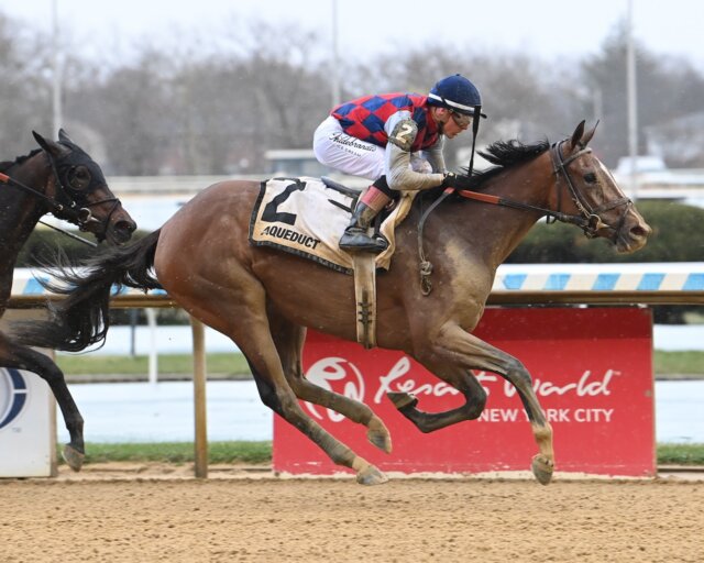 Always a Runner wins the Gazelle Stakes at Aqueduct.