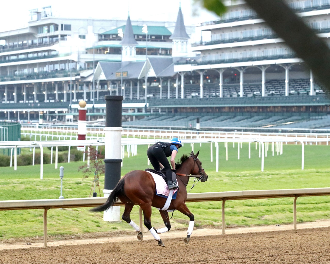 Bella Ballerina trains at Churchill Downs ahead of the Kentucky Oaks