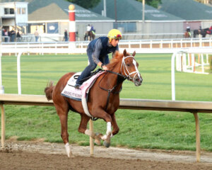 Brooklyn Blonde working at Churchill Downs.