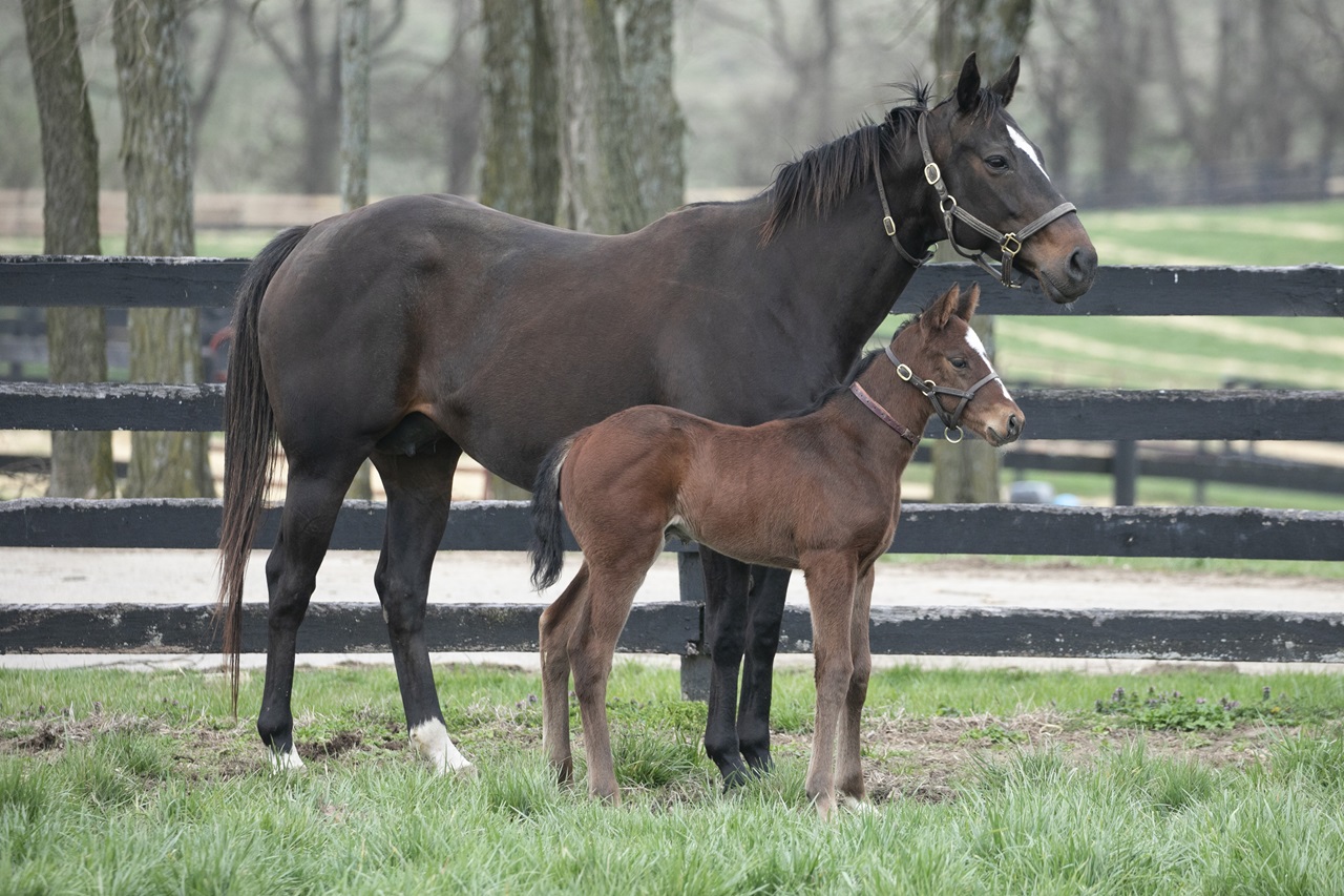 Sippican Harbor and Commandment spy something of interest (Photo by Kelcey Loges/Taylor Made Farm)