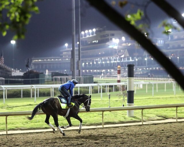 Corona De Oro works at Churchill Downs ahead of the Kentucky Derby.
