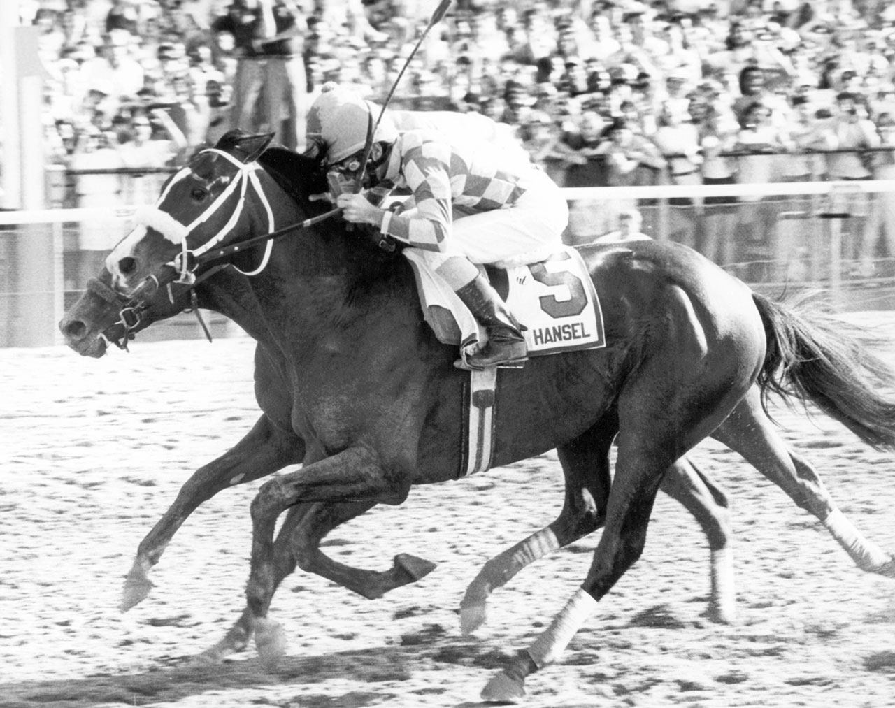 Hansel defeats Strike the Gold in the 1991 Belmont Stakes at Belmont Park. (Photo by Bob Coglianese)