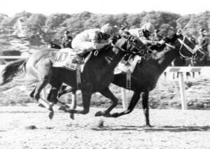 Hansel defeats Strike the Gold in the 1991 Belmont Stakes at Belmont Park. (Photo by Bob Coglianese)