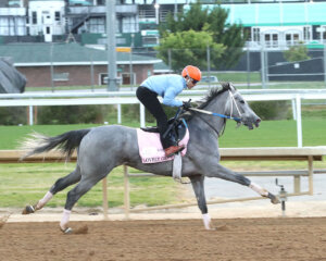 Lovely Grey galloping at Churchill Downs.
