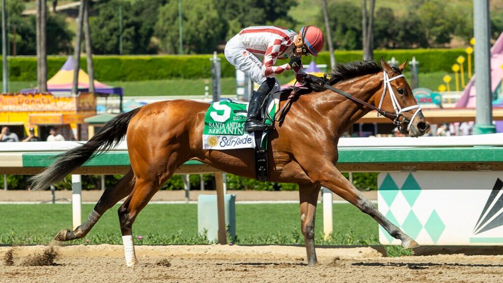 Meaning motored late in the Santa Anita Oaks (G2) (Photo by Benoit Photos)