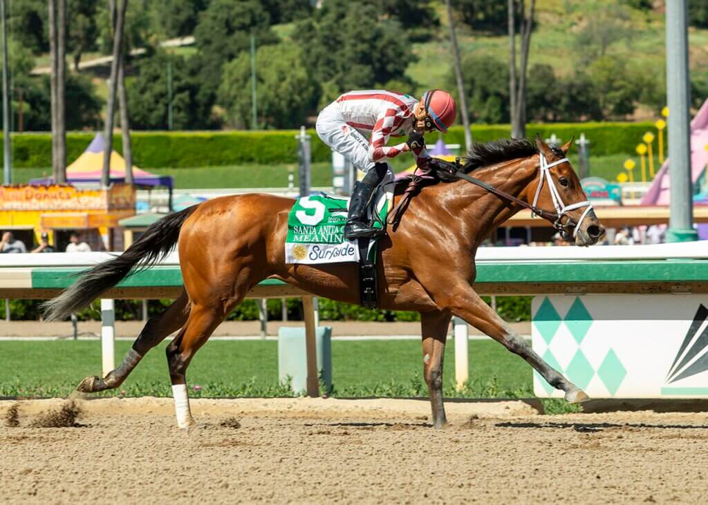 Meaning motored late in the Santa Anita Oaks (G2) (Photo by Benoit Photos)
