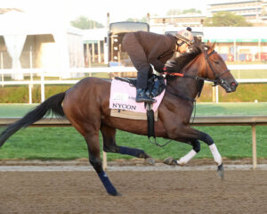 Nycon galloping at Churchill Downs.