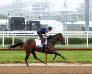 Pashmina working at Churchill Downs.