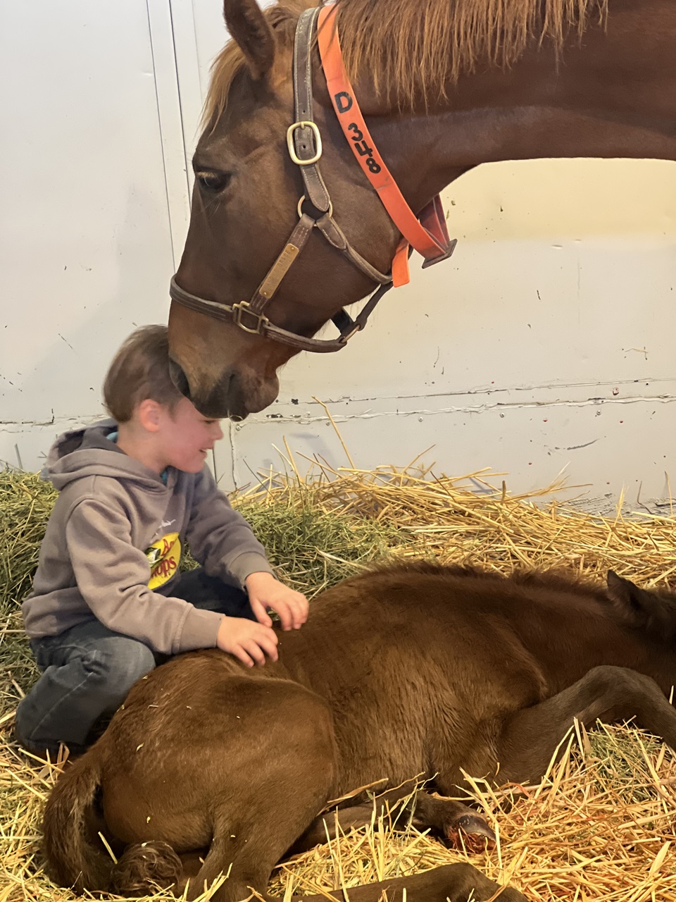 Mandy's Grace nuzzles Kasey Bennett's son as he pets baby Pavlovian