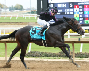 Mister T wins at Horseshoe Indiana. 