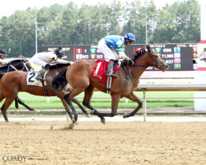 Trendsetter wins the Hickory Tree Stakes at Colonial Downs. 
