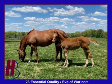 The Puma with mom Eve of War