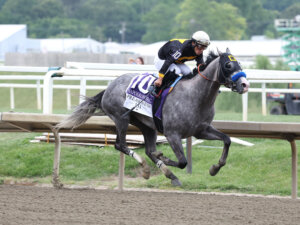 Napoleon Solo wins the Preakness Stakes at Laurel Park.
