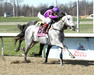 Bull By the Horns wins the Rushaway Stakes at Turfway Park.