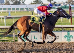 Braken Popa wins the Charged Cotton Stakes at Fair Grounds. 