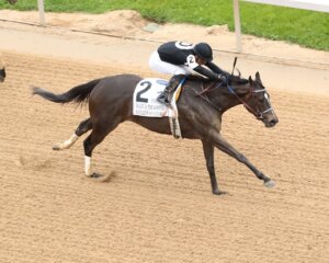 Holly's Holiday wins the Valley of the Vapors at Oaklawn Park. 