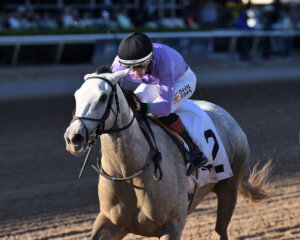 Haute Diva wins the Cash Run Stakes at Gulfstream Park. 
