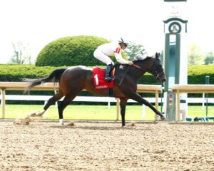 Mashallah wins at Keeneland. 