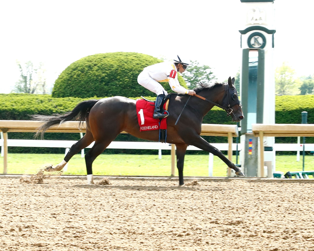 Mashallah wins at Keeneland.